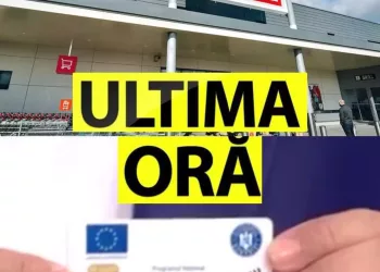 Vouchere alimente 2022. Anunţul făcut de Kaufland pentru cei care primesc tichete sociale