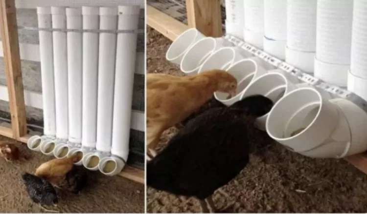 Cum facem o hranitoare pentru pasari – varianta simpla