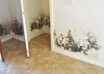 Scapă de mucegai pentru totdeauna! Soluția BIO naturală, fără chimicale, ușor de preparat