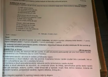 Bacalaureat 2023. Ce subiecte au picat la Limba română