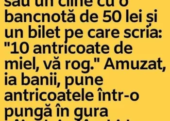 Un măcelar vede intrând în magazinul său un cîine