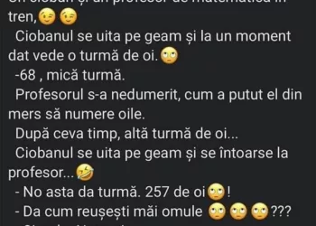 Un cioban și un profesor de matematică în tren.