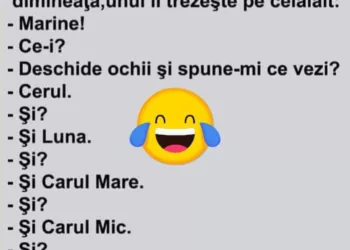 Doi olteni în vacanță. La ora 3 dimineața, unul îl trezește pe celălalt: