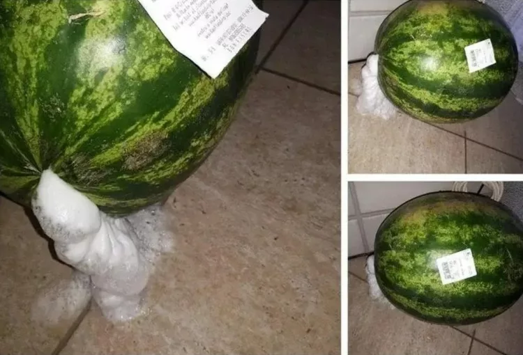 A cumpărat un pepene, în Piatra Neamţ. A ajuns acasă, i-a făcut „dop”, dar… surpriză ! Au început să iasă spume. Vânzătoarea, uluită: „Vai de capul meu”. Când a aflat de ce, a rămas mut