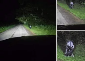 S-a dat alerta: atenție dacă vedeți un cărucior de bebeluș pe marginea drumului