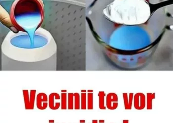 Acest amestec îți va face casa să miroasă atât de minunat încât vecinii te vor invidia