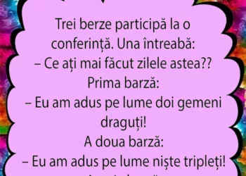 Trei berze participă la o conferință. Una întreabă: