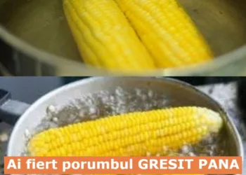 Ai fiert porumbul GRESIT PANA ACUM! Cum sa fierbi PORUMBUL