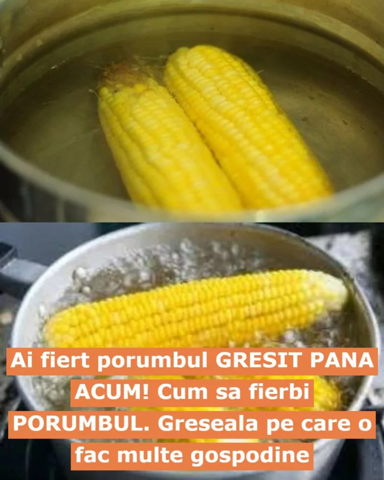 Ai fiert porumbul GRESIT PANA ACUM! Cum sa fierbi PORUMBUL