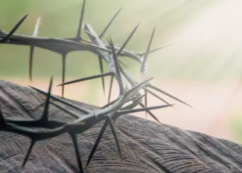 Părintele Cleopa: Singurul păcat care nu se iartă! Toate celelalte, oricât de grave, pot fi iertate