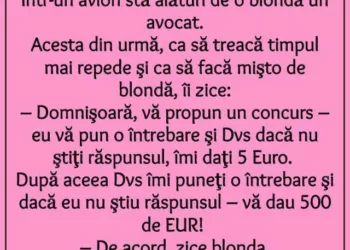 Nu toate blondele sunt «blonde» Mama, ce i-a facut avocatului