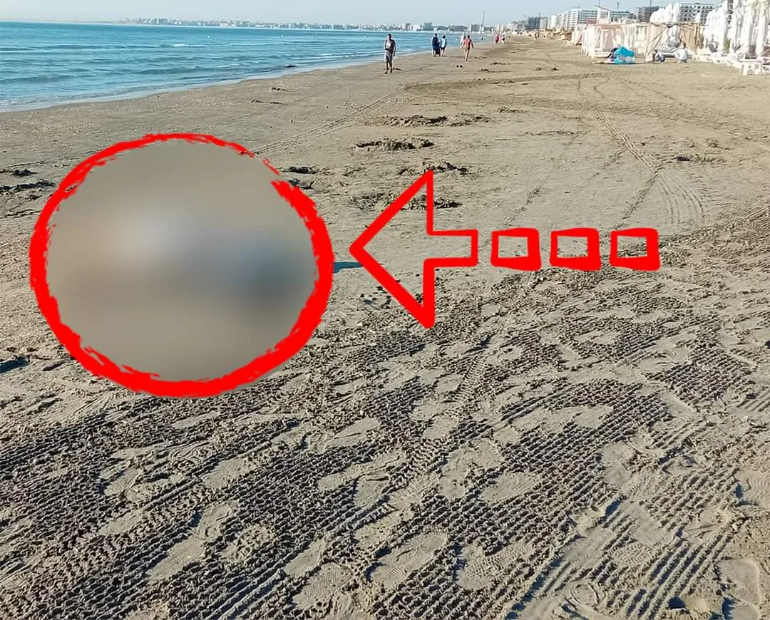 Imagini ireale în stațiunea Mamaia. Ce a fotografiat un turist, pe plajă: „Vai de capul nostru! Nu ne mai facem bine!”