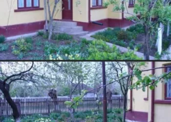 Această căsuţă aşteaptă o familie de pensionari sau o doamnă pensionară care să locuiască gratis în ea. Anunţul făcut de un român pe Facebook