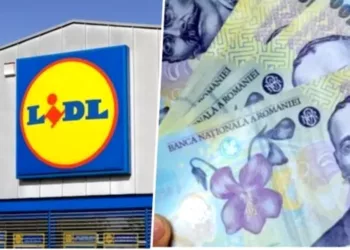 Salarii de peste 1.000 de euro la Lidl. Posturile pentru care se fac angajări și pentru care nu ai nevoie de studii superioare