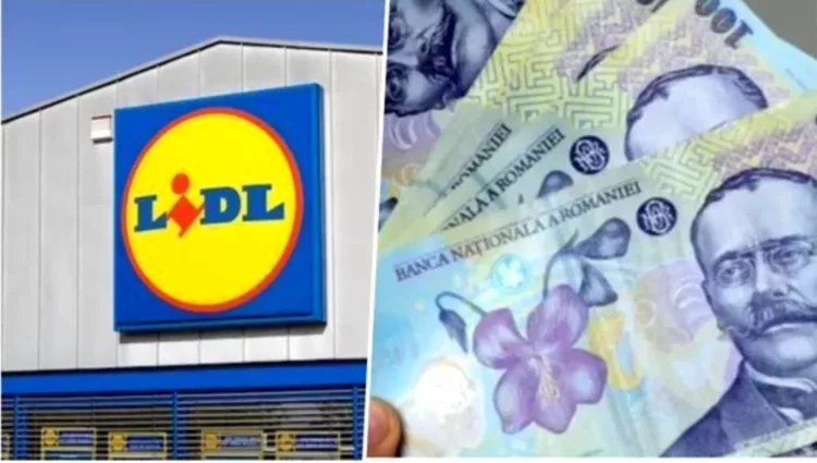 Salarii de peste 1.000 de euro la Lidl. Posturile pentru care se fac angajări și pentru care nu ai nevoie de studii superioare