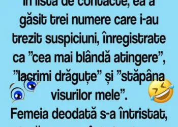 Unei femei i s-a ivit ocazia să verifice telefonul soțului său. În lista de contacte, ea a găsit trei numere care i-au trezit suspiciuni, înregistrate ca ”cea mai blândă atingere”, ”lacrimi drăguțe” și ”stăpâna visurilor mele”.