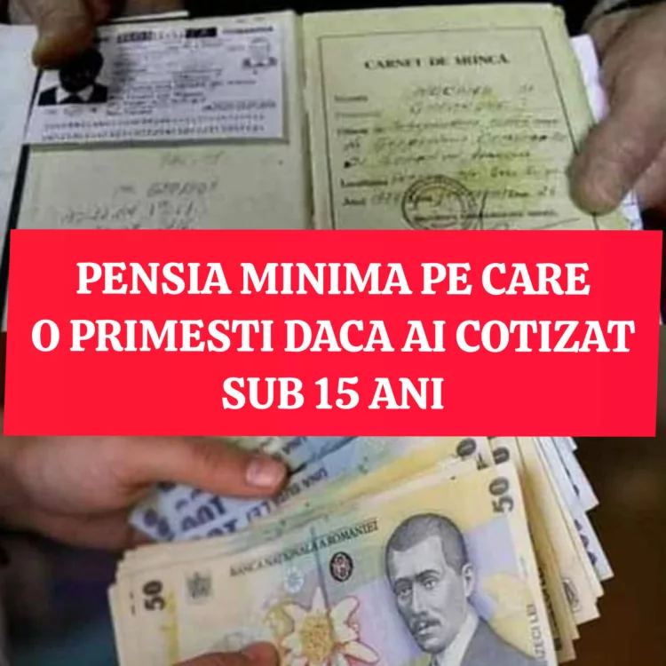 Pensia minima pe care o primesti daca ai cotizat sub 15 ani.