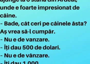 Un american isi face vacanta in Romania. Merge el ce merge si ajunge la o stană din Ardeal, unde e foarte impresionat de caine.
