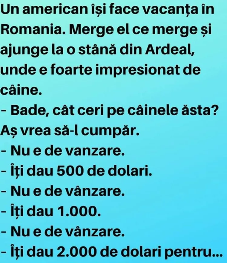 Un american isi face vacanta in Romania. Merge el ce merge si ajunge la o stană din Ardeal, unde e foarte impresionat de caine.