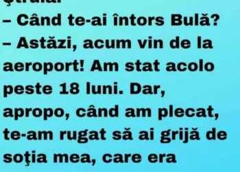 Bulă, reîntors din SUA: – Salut, măi dragă, Ştrulă!– Când te-ai întors Bulă?– Astăzi, acum vin de la aeroport! Am stat acolo peste 18 luni. Dar, apropo, când am plecat, te-am rugat să ai grijă de soţia mea..