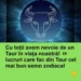 Cu toții avem nevoie de un Taur în viața noastră! 14 lucruri care fac din Taur cel mai bun semn zodiacal