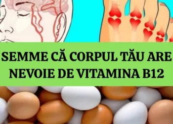 Vitamina B12 este ca aerul pentru femeile trecute de varsta de 40 de ani. 5 semne semne importante ca organismul tau are nevoie de mai multa vitamina B 12 – imediat