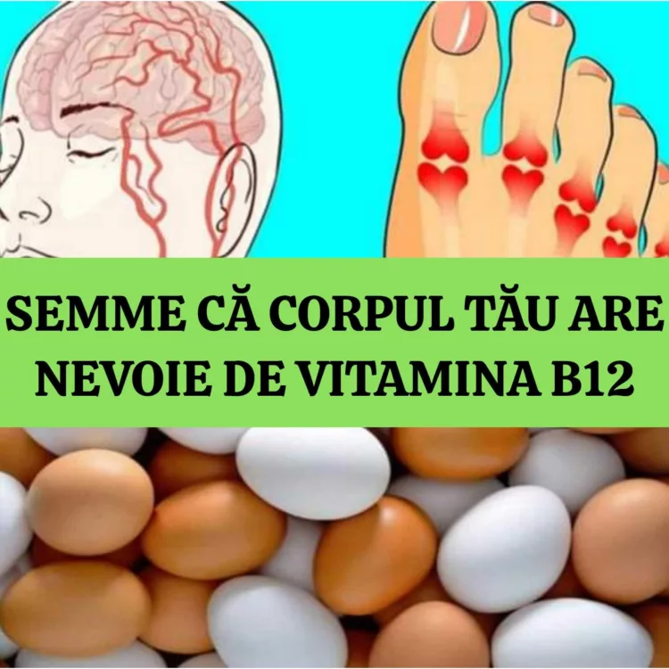 Vitamina B12 este ca aerul pentru femeile trecute de varsta de 40 de ani. 5 semne semne importante ca organismul tau are nevoie de mai multa vitamina B 12 – imediat