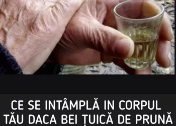 Ce se întâmplă în organismul tău dacă bei ţuică de prune?