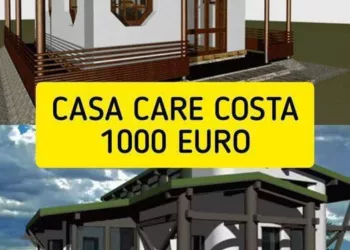 Casa care costa 1.000 euro exista si se face chiar in Romania: