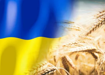 Anunțul momentului. Ucraina dă în judecată țările vecine. Ce se întâmplă cu România