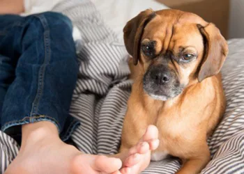 De ce miros urât picioarele și ce e recomandat să faci pentru a scăpa de problemă