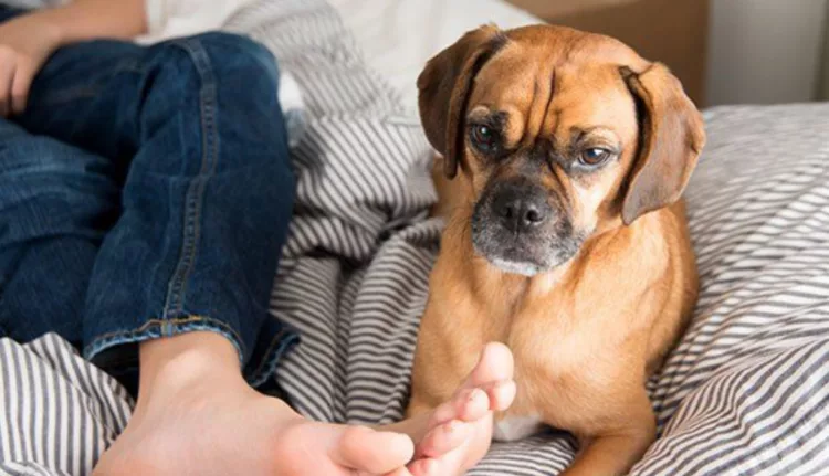 De ce miros urât picioarele și ce e recomandat să faci pentru a scăpa de problemă