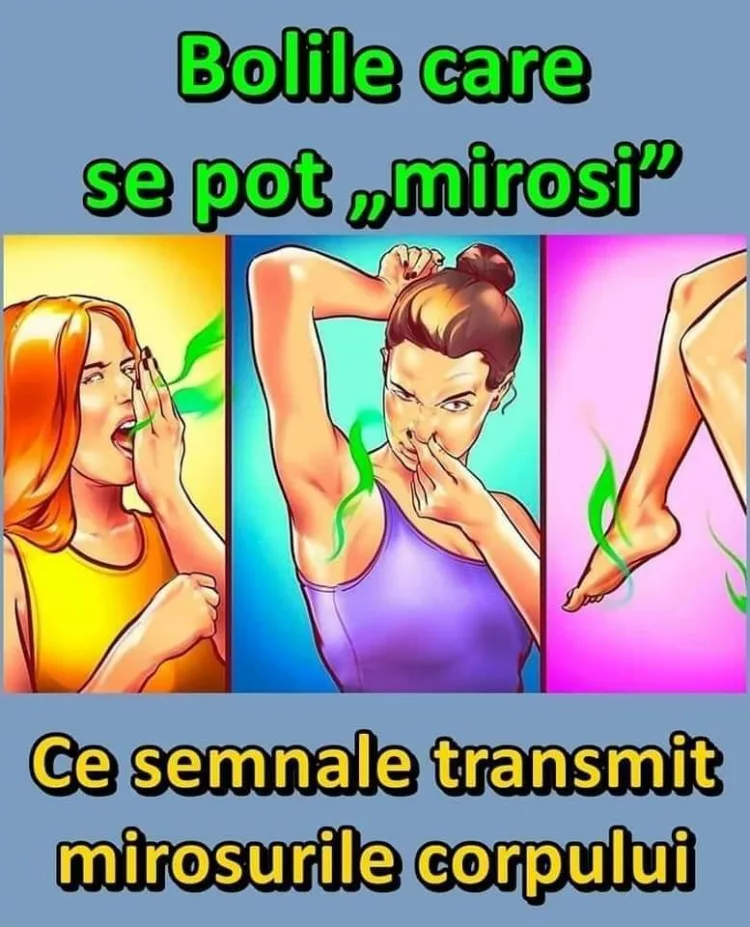 Ce semnale transmit mirosurile corpului