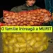 Mare atentie oameni dragi! O familie întreagă din păcate a MURIT! Iată ce să NU faci niciodată atunci când cumperi cartofi