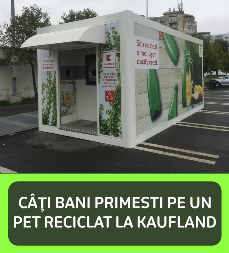 Zeci de mii romani au stat la coada la aparatele de reciclat de la Kaufland. Câţi bani primesc pe un PET adus la automat