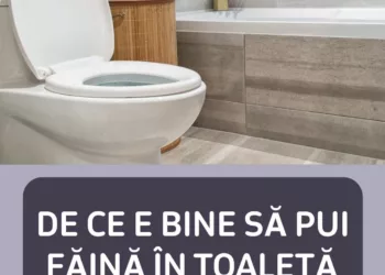 De ce e bine să pui făină în toaletă. Trucul care te va scăpa de multe probleme