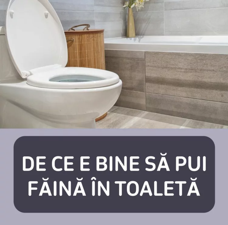 De ce e bine să pui făină în toaletă. Trucul care te va scăpa de multe probleme