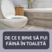 De ce e bine să pui făină în toaletă. Trucul care te va scăpa de multe probleme