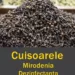 Află cum te poți trata folosind CUIȘOARELE – Vezi cum poți folosi cuișoarele și ce boli vindecă