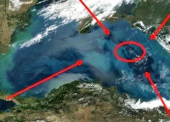 Imaginile care au încremenit Planeta! Uite ce se ascunde pe fundul Mării Negre: ,,De zeci de ani le căutăm, dar acum le-am găsit din greșeală”. S-a aflat secretul vechi de milenii, uite ce au găsit la cea mai mare adâncime