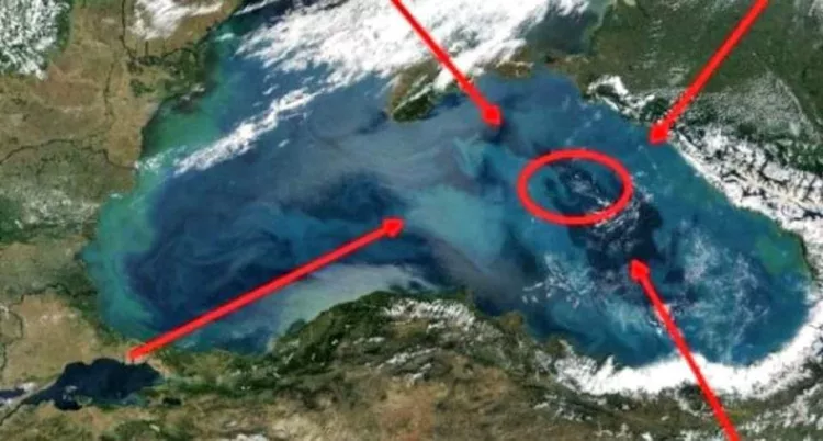 Imaginile care au încremenit Planeta! Uite ce se ascunde pe fundul Mării Negre: ,,De zeci de ani le căutăm, dar acum le-am găsit din greșeală”. S-a aflat secretul vechi de milenii, uite ce au găsit la cea mai mare adâncime