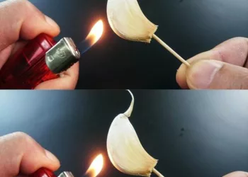 Arderea unei căței de usturoi: Ce se întâmplă după 15 minute acasă? Vei rămâne fără cuvinte…