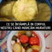 Ce se intampla in organismul nostru cand mancam muraturi