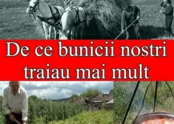 Motivele pentru care bunicii noștri duceau un trai sănătos, fără boli și trăiau mai mult decât oamenii moderni de astăzi
