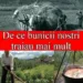 Motivele pentru care bunicii noștri duceau un trai sănătos, fără boli și trăiau mai mult decât oamenii moderni de astăzi