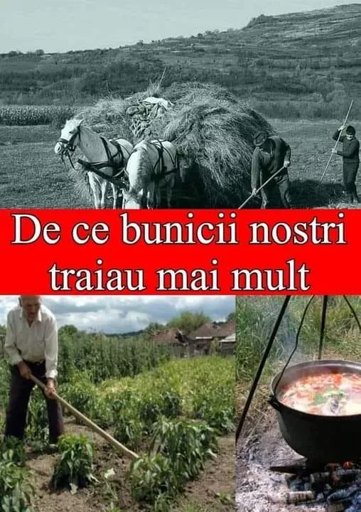 Motivele pentru care bunicii noștri duceau un trai sănătos, fără boli și trăiau mai mult decât oamenii moderni de astăzi