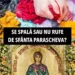 Sărbătoare mare pentru toți creștinii! Se spală sau nu de Sfânta Parascheva? Preoții au spus clar