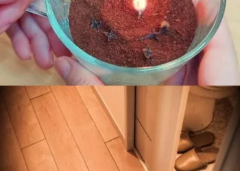 Cum să elimini gândacii, muștele și țânțarii din casa ta în mai puțin de 10 minute. Trucul care a băgat în faliment toate soluțiile de pe piață