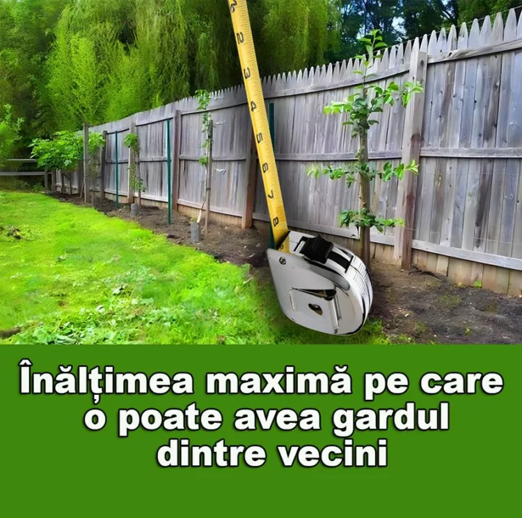 Înălțimea maximă pe care o poate avea gardul dintre vecini. Legea e clară. Ce nu ai voie să faci sub nicio formă.