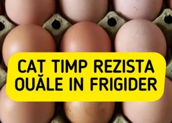 Cât timp rezistă ouăle de țară în frigider. Greșeala pe care majoritatea românilor o fac